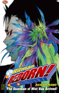 Image of HITMAN REBORN VOL 13